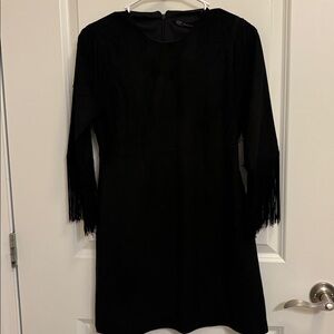 Zara Suede Fringe Dress